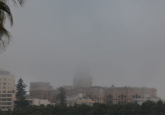 El taró tapa la visión de la Catedral de Málaga.