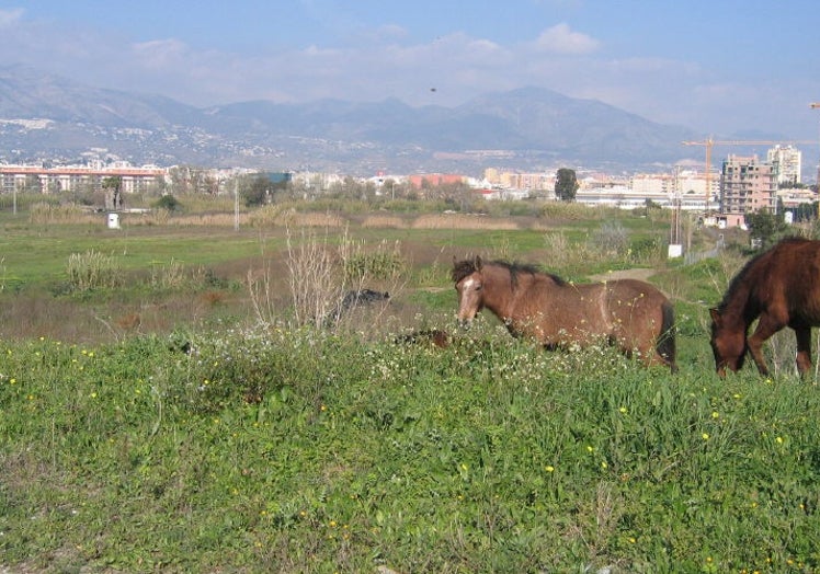 Terrenos donde iba la desaladora, entre la depuradora de Mijas y el río Fuengirola.