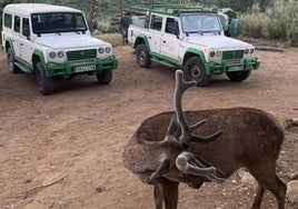 La Junta ha dado un último plazo de diez días para el desalojo de la Eco Reserva de Ojén.