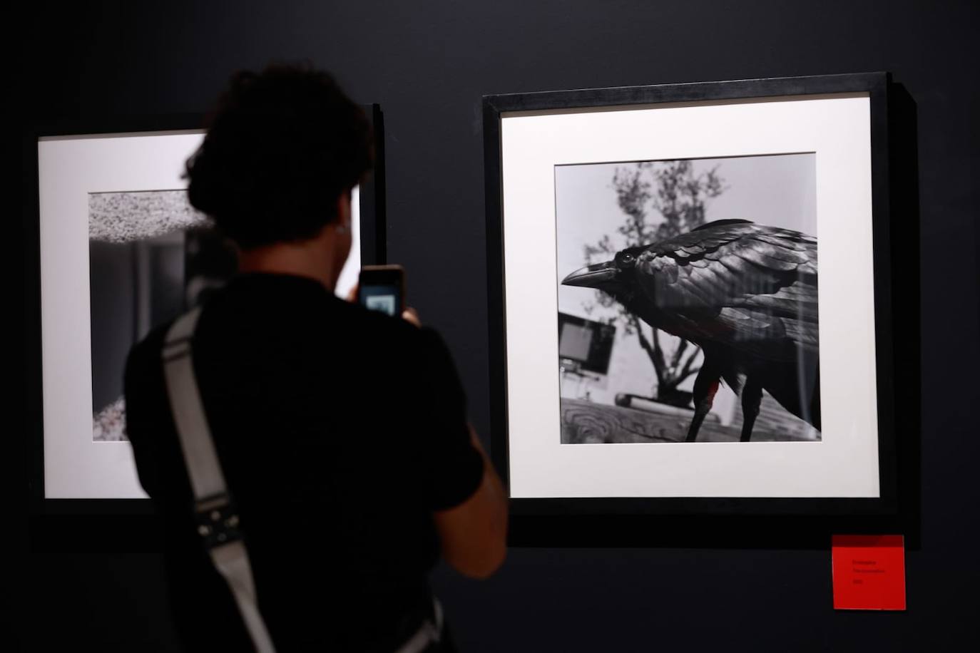 Exposición de Alberto García-Alix en La Térmica