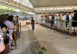 Más de un centenar de personas disfrutaron de los mosaicos de la Villa Romana de Río Verde.