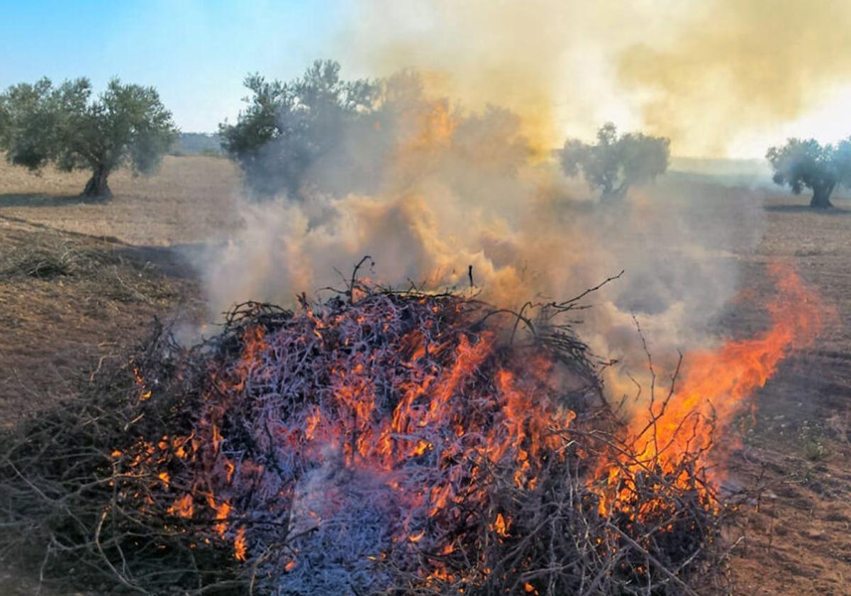 Andalucía amplía la prohibición de quemas agrícolas para prevenir incendios forestales