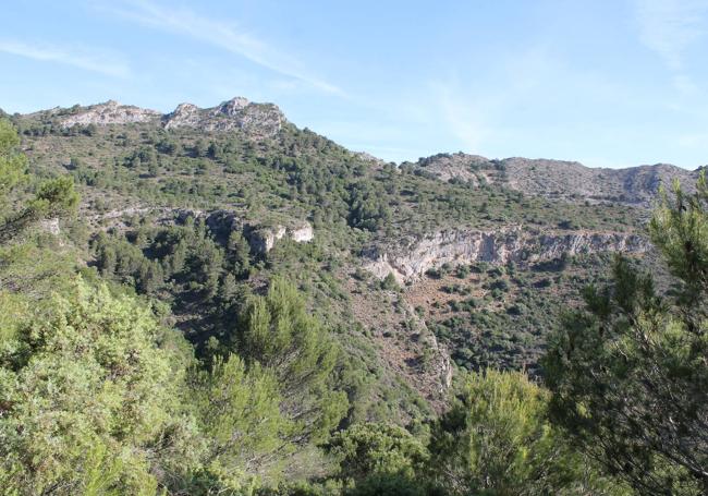 Vista de los tajos de la sierra benalmadense