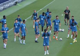 Jugadores del Málaga a las órdenes de Pellicer en el entrenamiento de este miércoles.