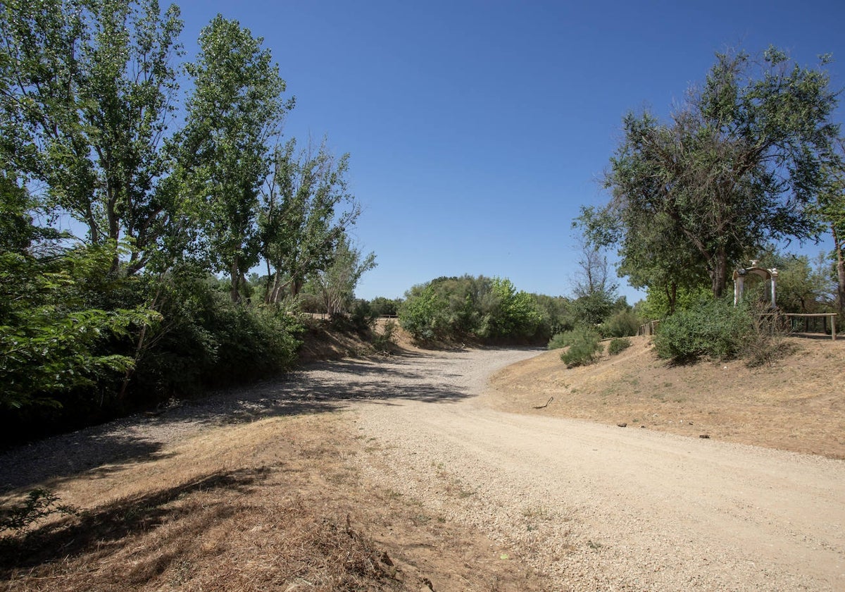 Vado de la Quema, por el que suelen pasar los peregrinos camino de El Rocío, totalmente seco.