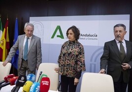 El gerente del SAS, Diego Vargas, la consejera Catalina García, y el presidente del SMA, Rafael Carrasco, el pasado enero.