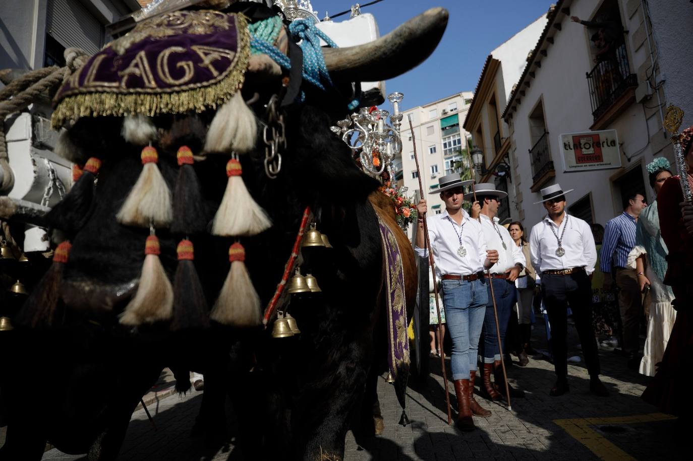 La Real Hermandad de Málaga camina hacia el Rocío