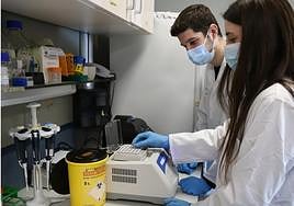 Universidades y centros de I+D dispondrán de 14 millones para investigaciones contra la sequía y el cambio climático en Andalucía