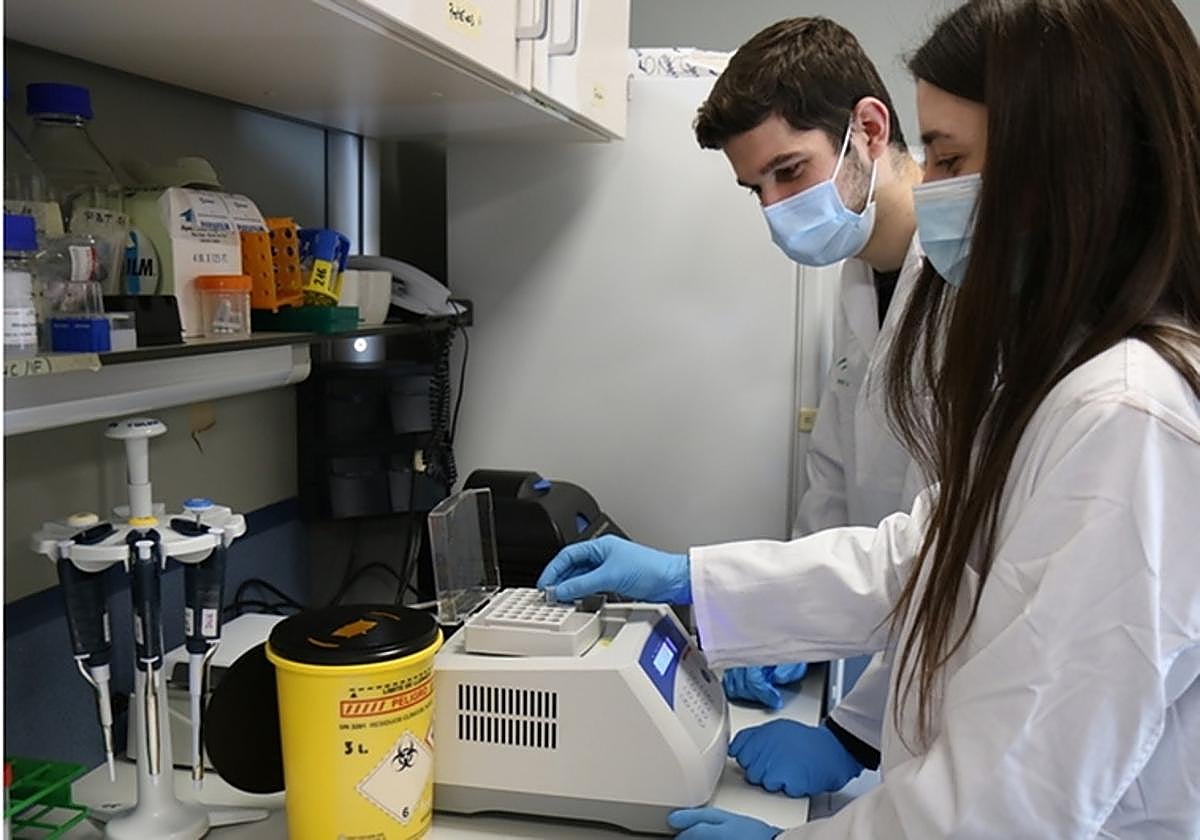 Universidades y centros de I+D dispondrán de 14 millones para investigaciones contra la sequía y el cambio climático en Andalucía