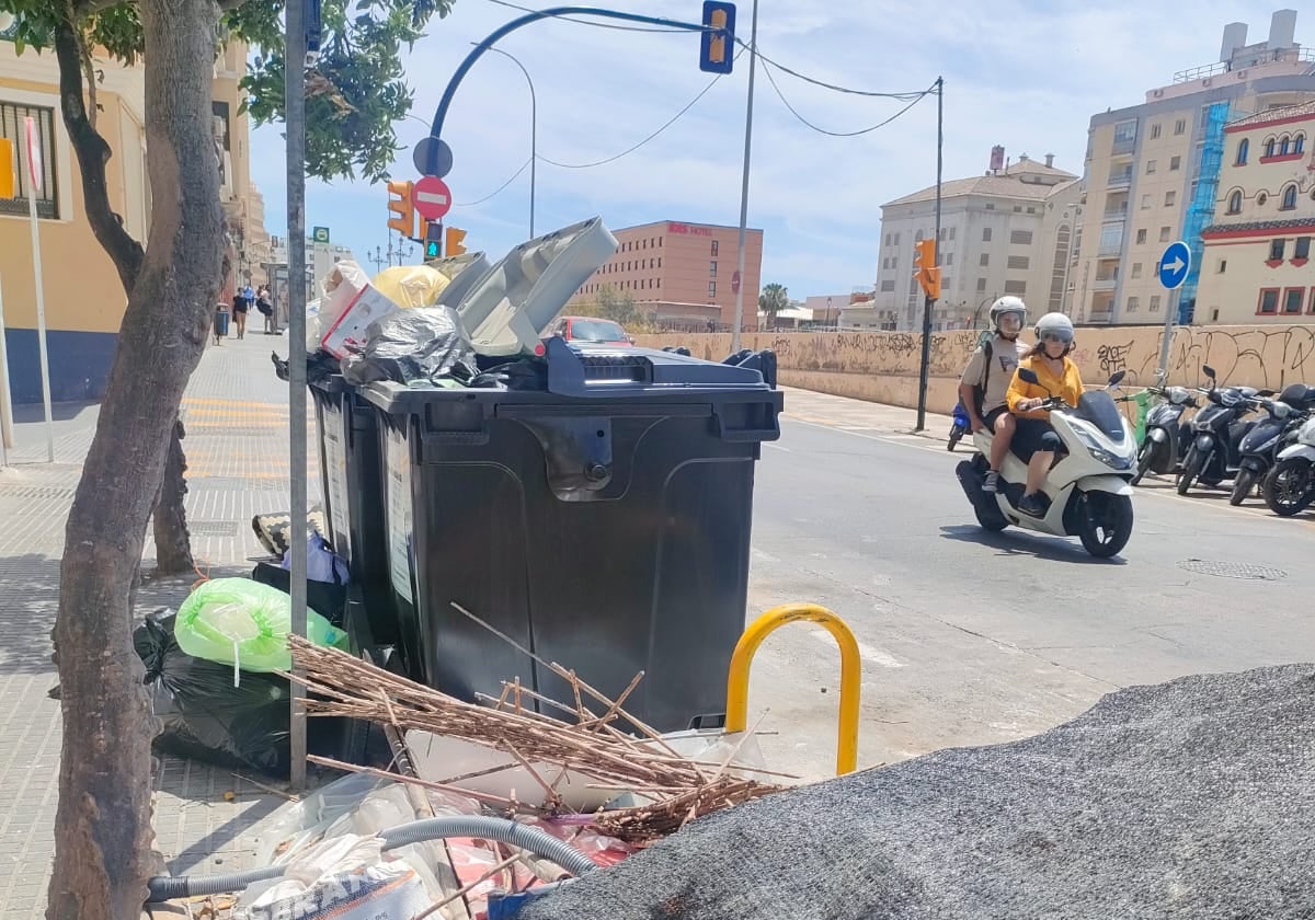 Avenida de la Rosaleda.