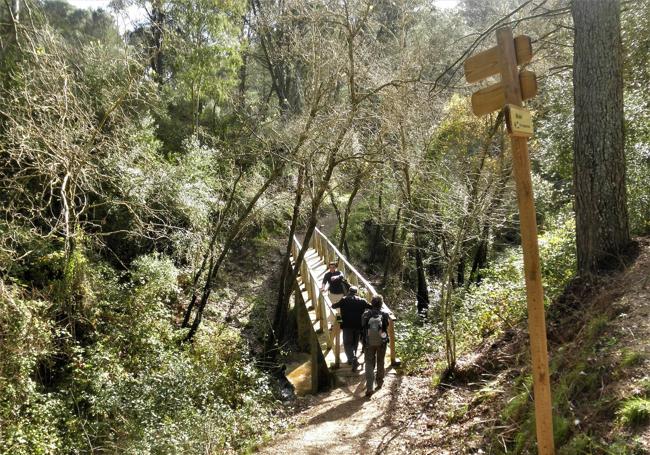 Tras el puente de madera, se enlaza con un carril que va al lagar de Santillana