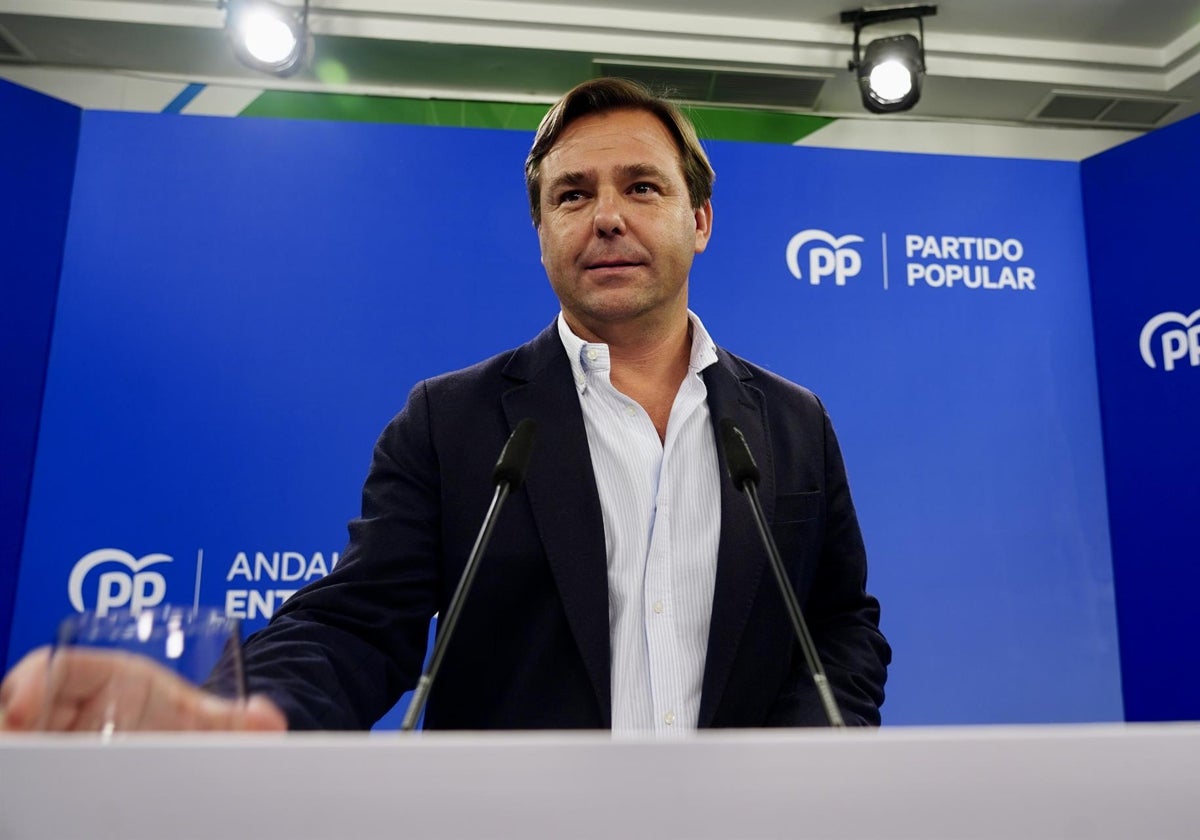 El secretario general del PP-A, Antonio Repullo.