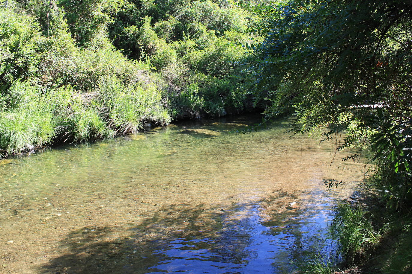 Charca de la Huerta, en el río Verde.
