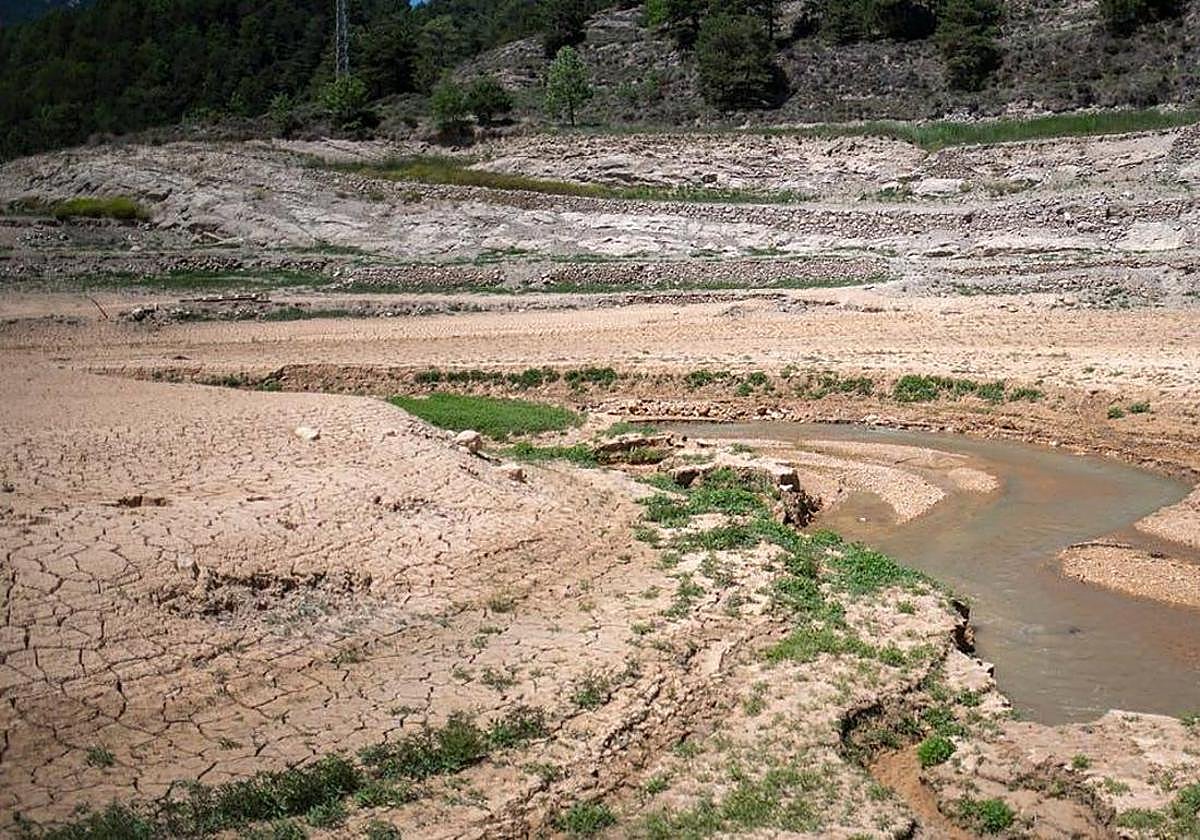 Andalucía autoriza una segunda excepción en la aplicación de la PAC por la sequía