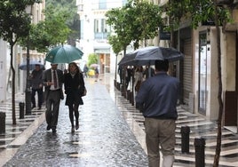 Transeúntes bajo los paraguas en el Centro de Málaga.