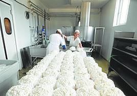 El sector de las queserías artesanales es de gran relevancia en el medio rural andaluz.