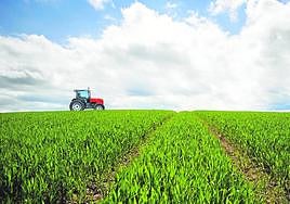 La biomasa es materiaorgánica utilizada como fuente energética.