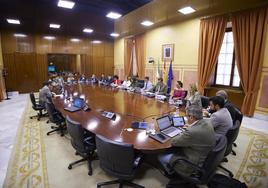 La comisión parlamentaria que debate la proposición de ley sobre los regadíos de Doñana en su ronda de comparecencias de ayer.