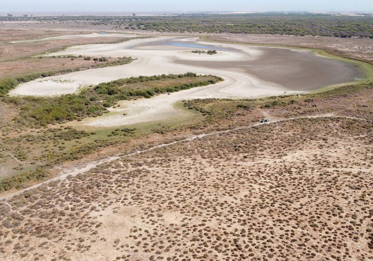 La Junta «respeta los tiempos» del Parlamento para tramitar la ley de regadíos