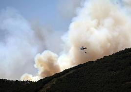 Archivan la causa contra cuatro personas por el incendio en Sierra Bermeja de junio de 2022