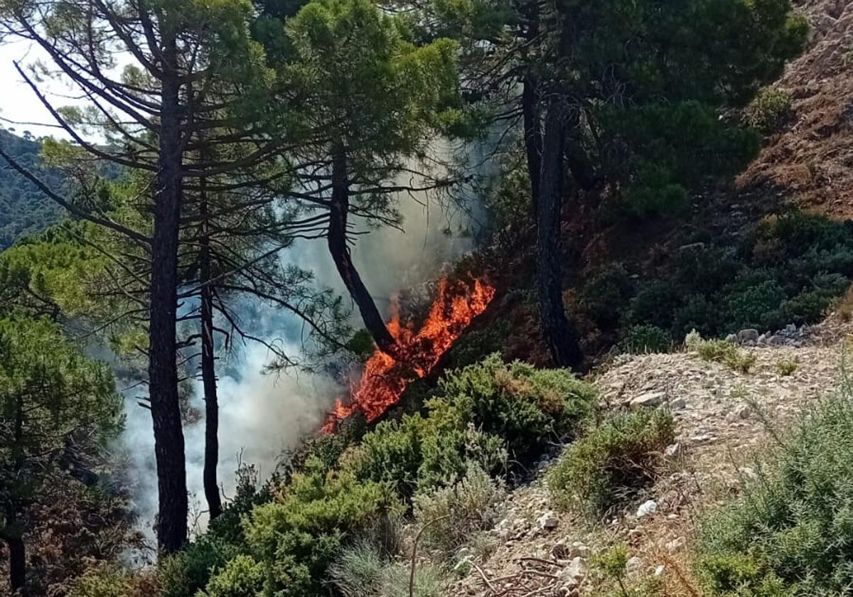 Un rayo provoca un incendio en un paraje de Canillas de Albaida