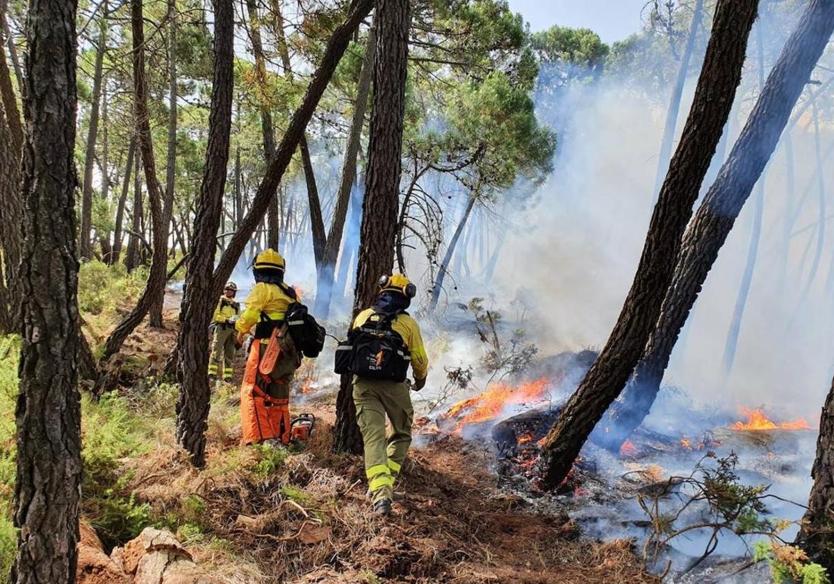 El Defensor del Pueblo pide a las comunidades que refuercen la prevención de incendios