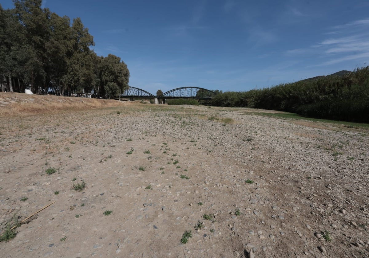 Estado del río Guadalhorce, a su paso por Estación de Cártama.