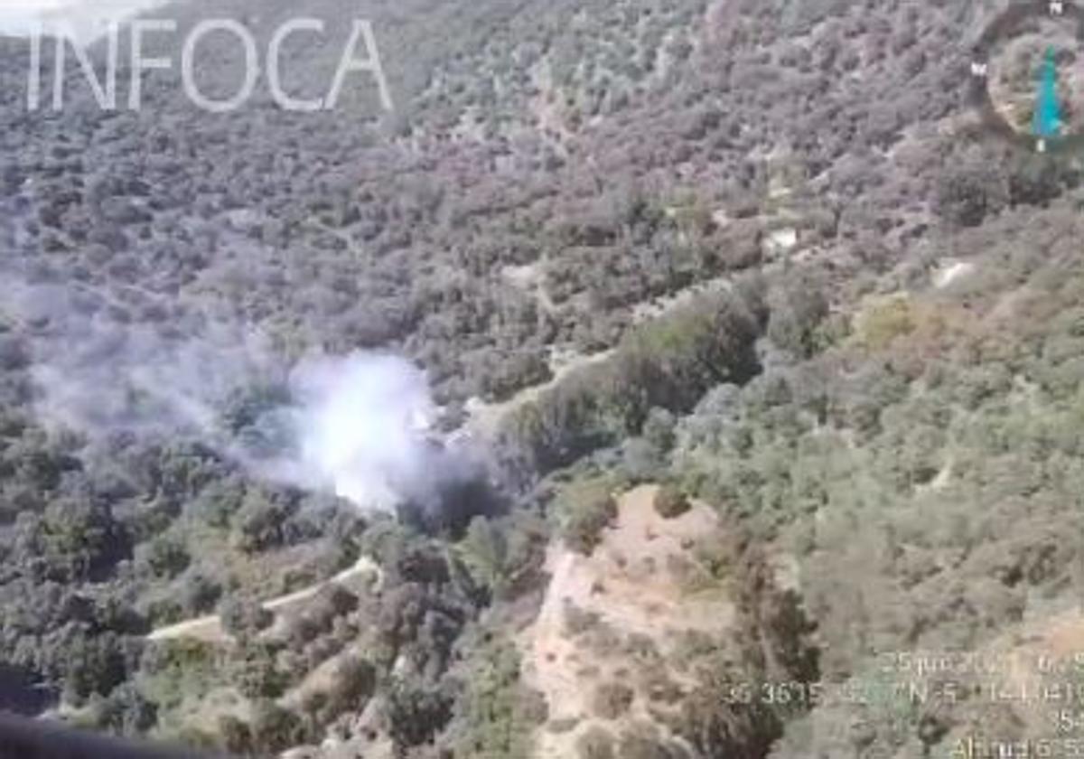 Origen del incendio forestal de este domingo.