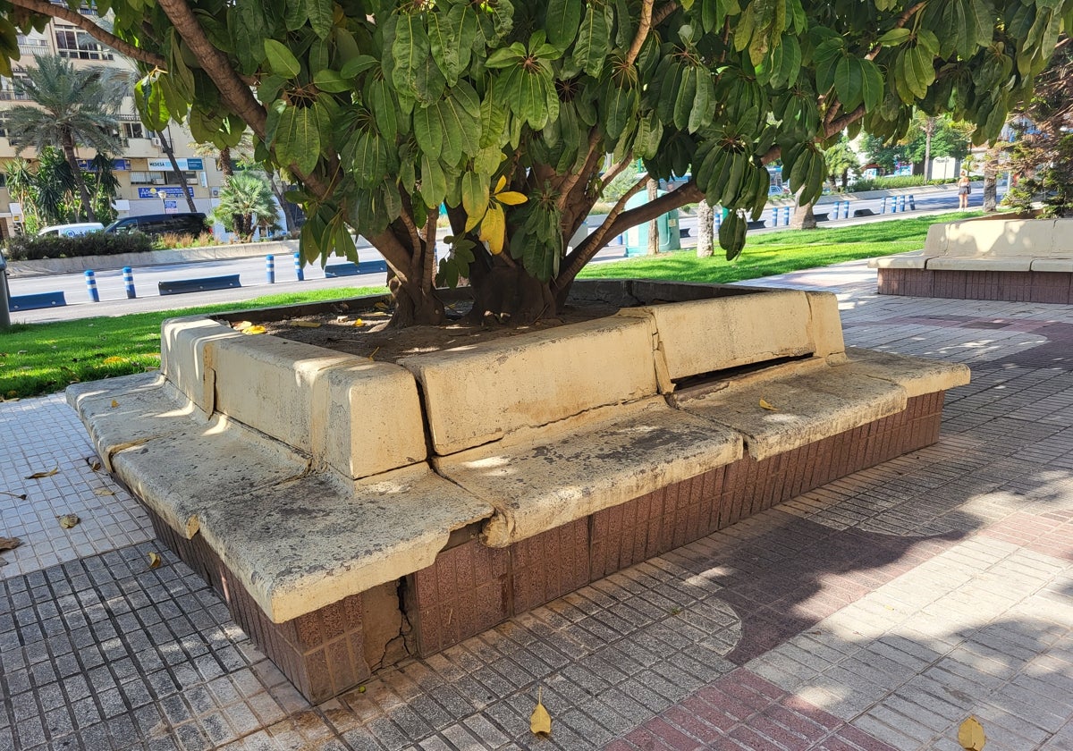 Banco rotos en la Avenida Andalucía.