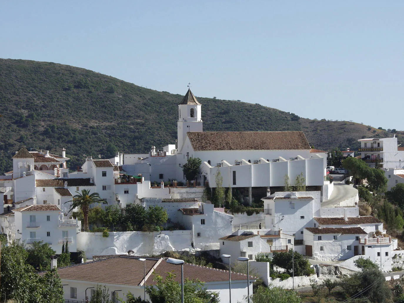 Día de la Trilla en Sedella: La ardua labor de separar el grano de la paja  a la antigua | Diario Sur