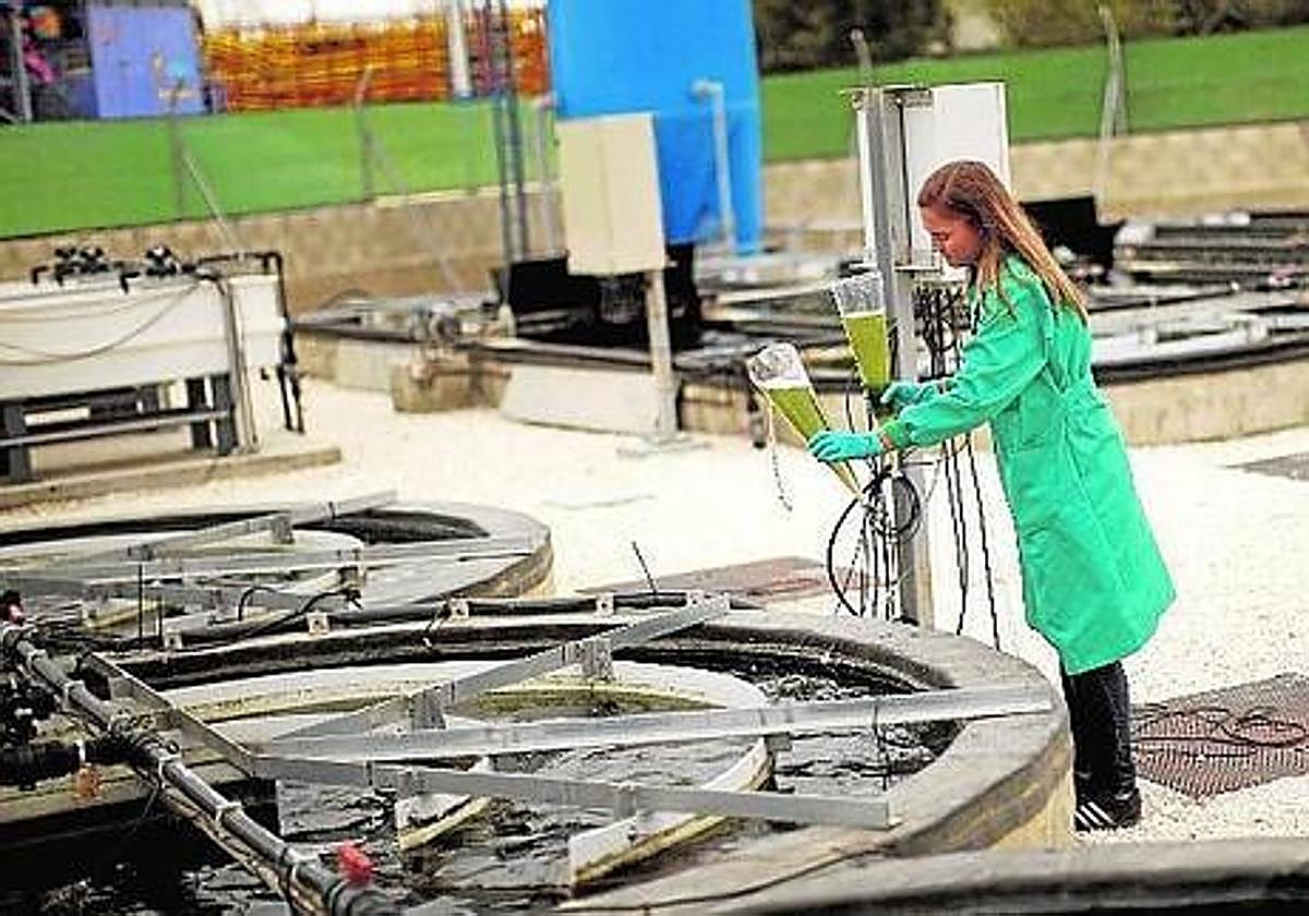 El Gobierno otorga 3,78 millones en ayudas a nueve proyectos singulares de instalaciones de biogás en Andalucía