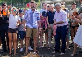 Suelta de una tortuga boba en Estepona.