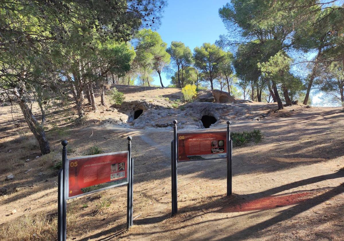 A través de un sendero cómodo se puede acceder a los siete hitos funerarios de este conjunto.