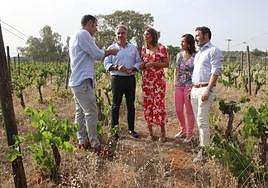 Bendodo, junto con Carmona, Vázquez y Fernández, por la derecha; y Morales.