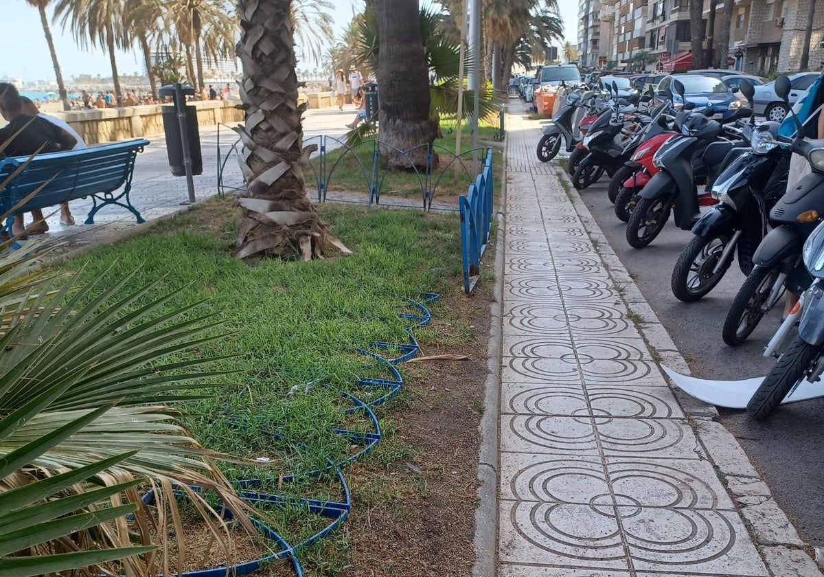 Situación en el Paseo Marítimo Ciudad de Melilla.