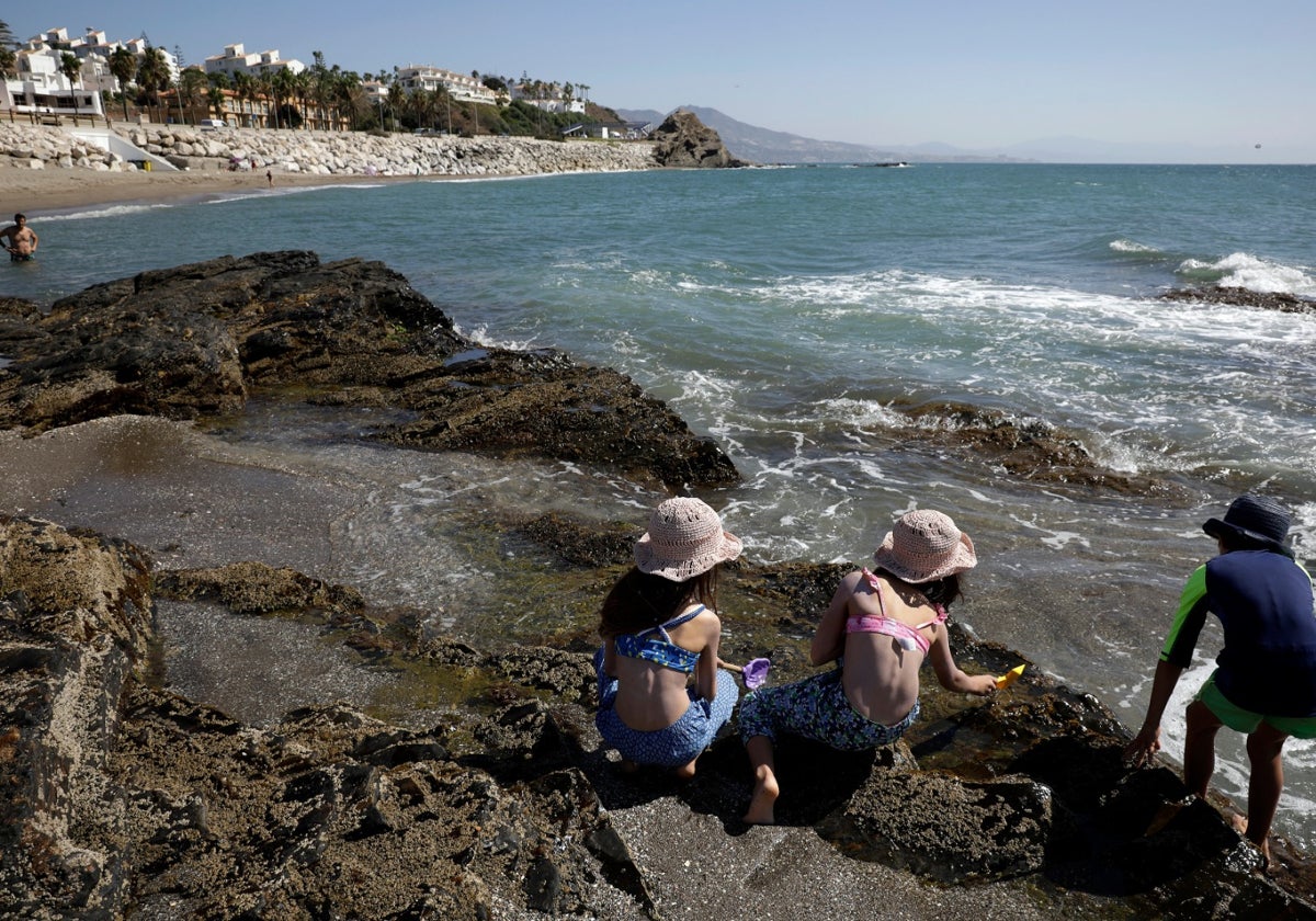 El poniente de este verano ha afectado a la claridad del agua