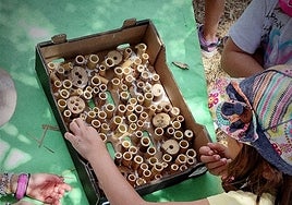 Escolares, en una de las actividades en Rincón de la Victoria.