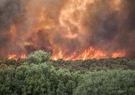 La Junta invertirá cerca de 23 millones de euros para prevenir incendios