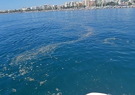 Suciedad frente a la playa de Torre del Mar, este verano.