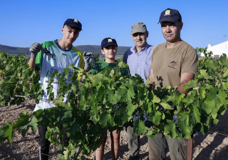 Imagen principal - Tres generaciones de la familia Trujillo recogen las uvas; El gerente de Scaavo enseña la borrica de 1807, la más antigua que tienen en la cooperativa y una tolva de uvas.