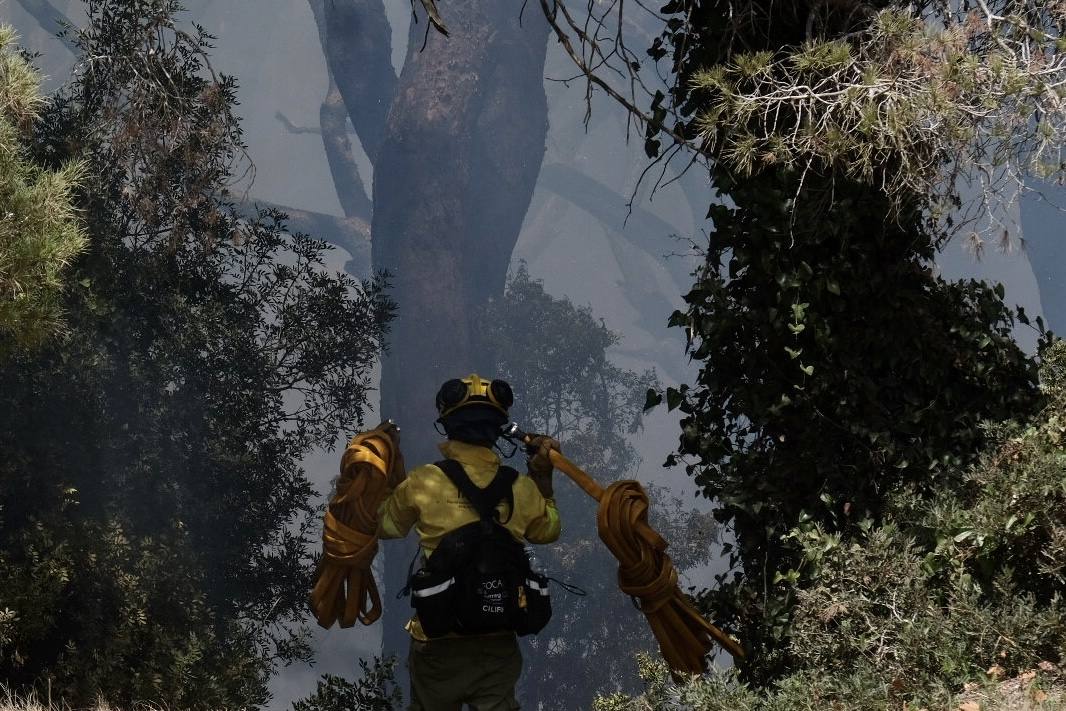 Activado el nivel 1 de alerta por un incendio forestal en Cádiz