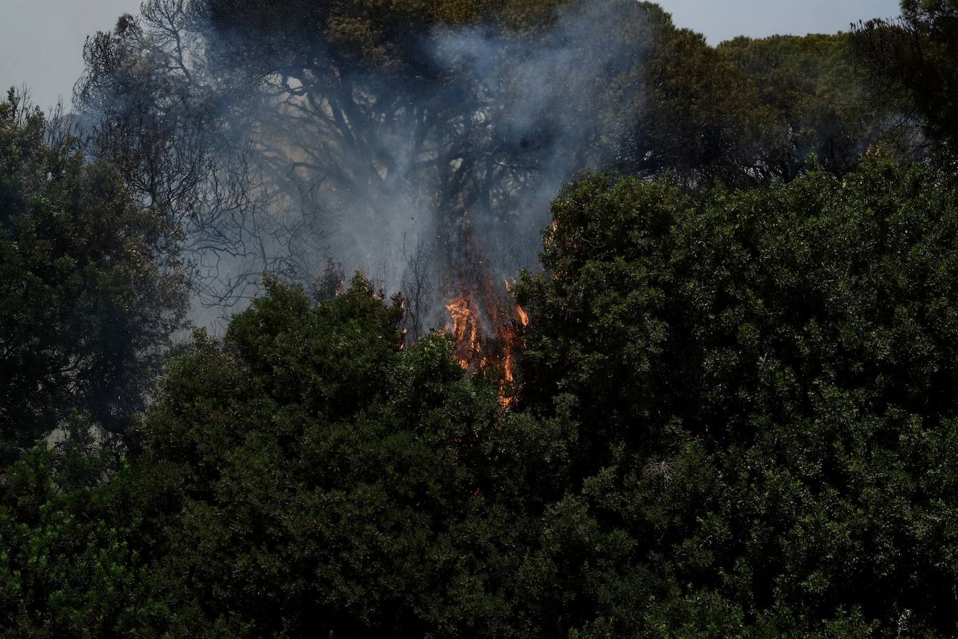 Activado el nivel 1 de alerta por un incendio forestal en Cádiz