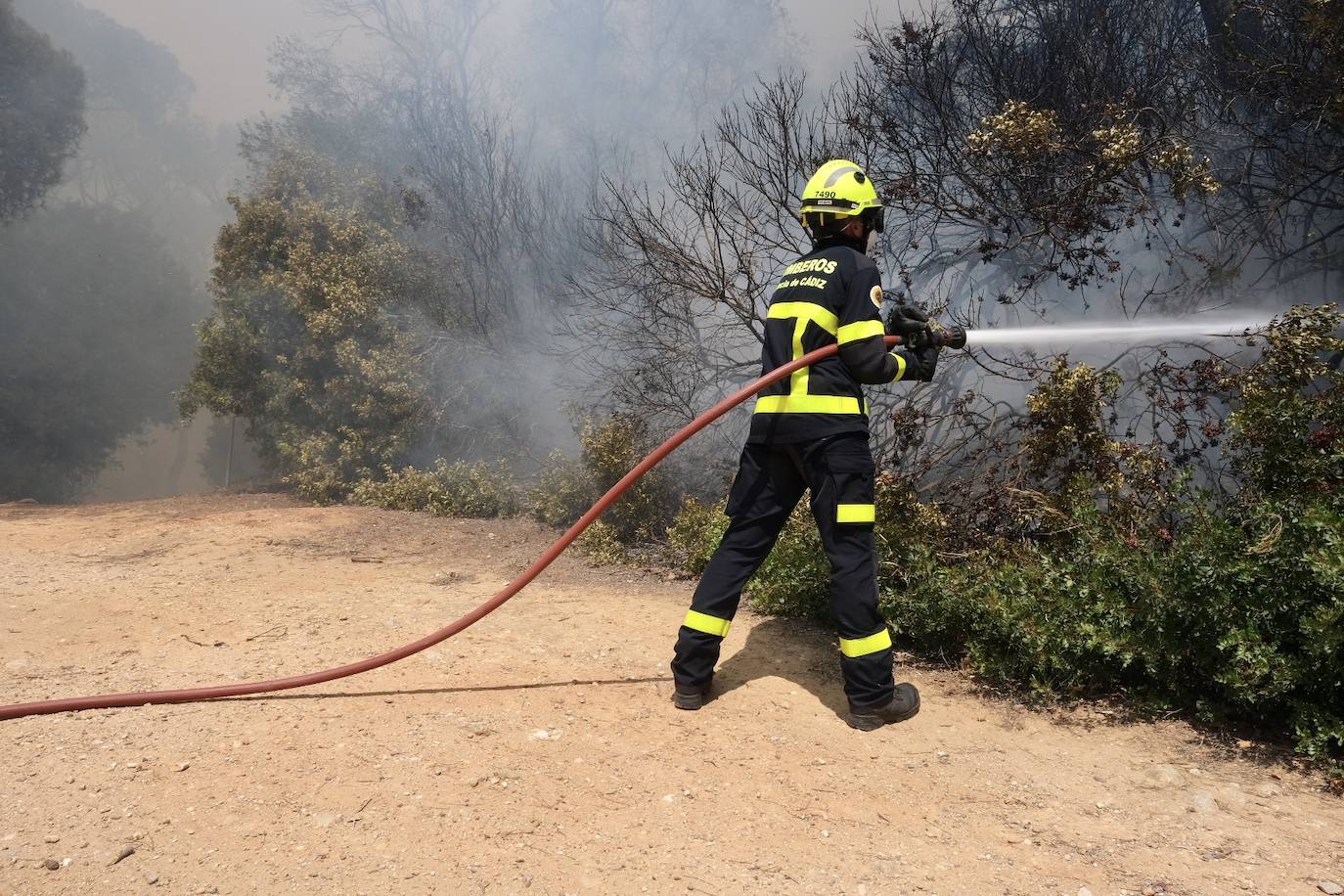 Activado el nivel 1 de alerta por un incendio forestal en Cádiz