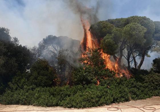 Vista del incendio declarado este domingo.