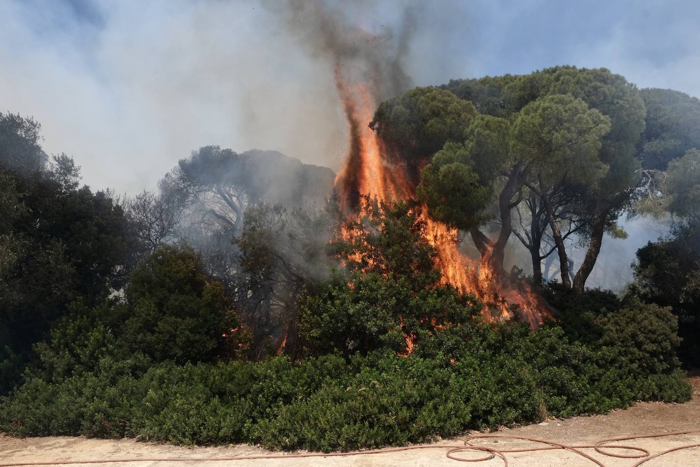 Activado el nivel 1 de alerta por un incendio forestal en Cádiz