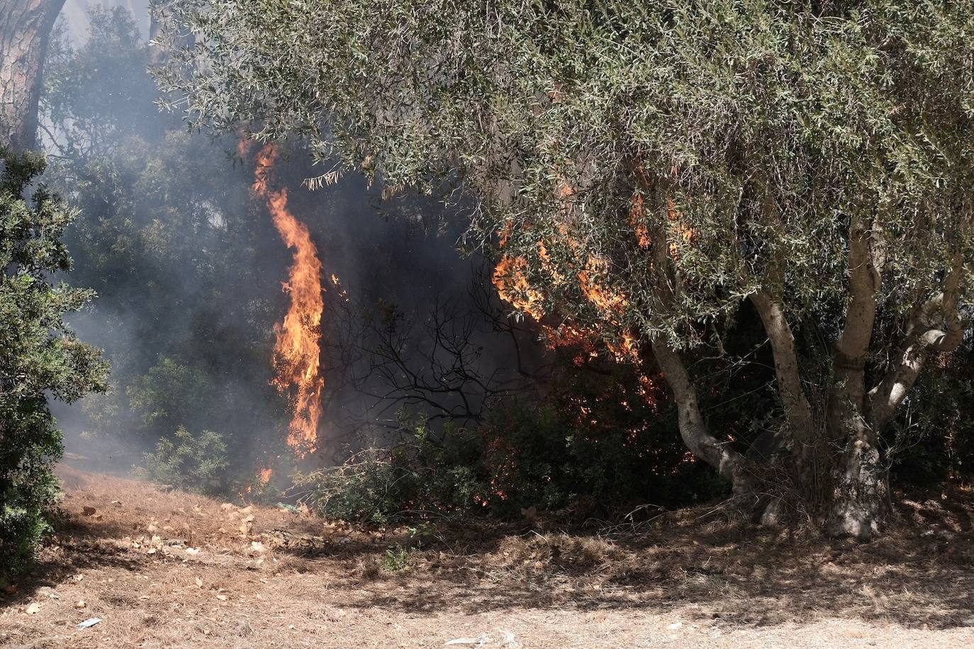 Activado el nivel 1 de alerta por un incendio forestal en Cádiz