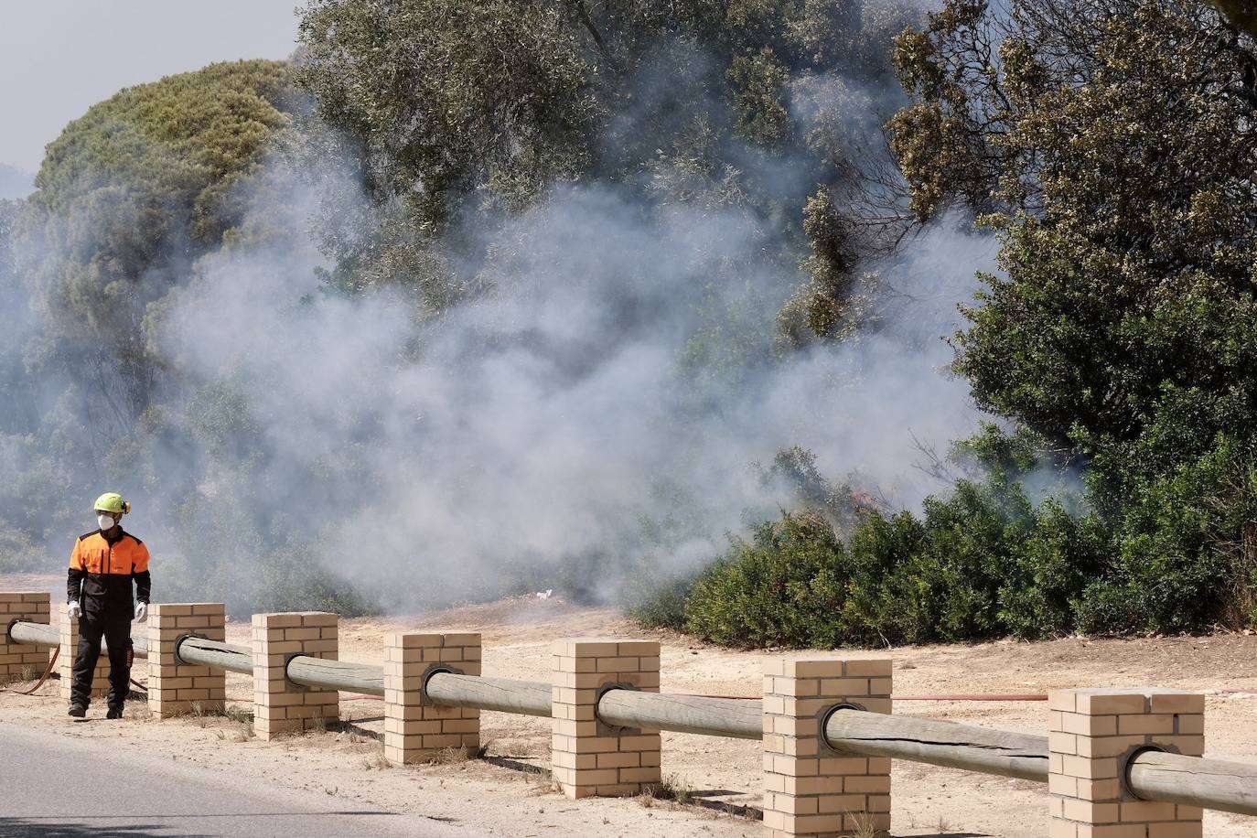 Activado el nivel 1 de alerta por un incendio forestal en Cádiz