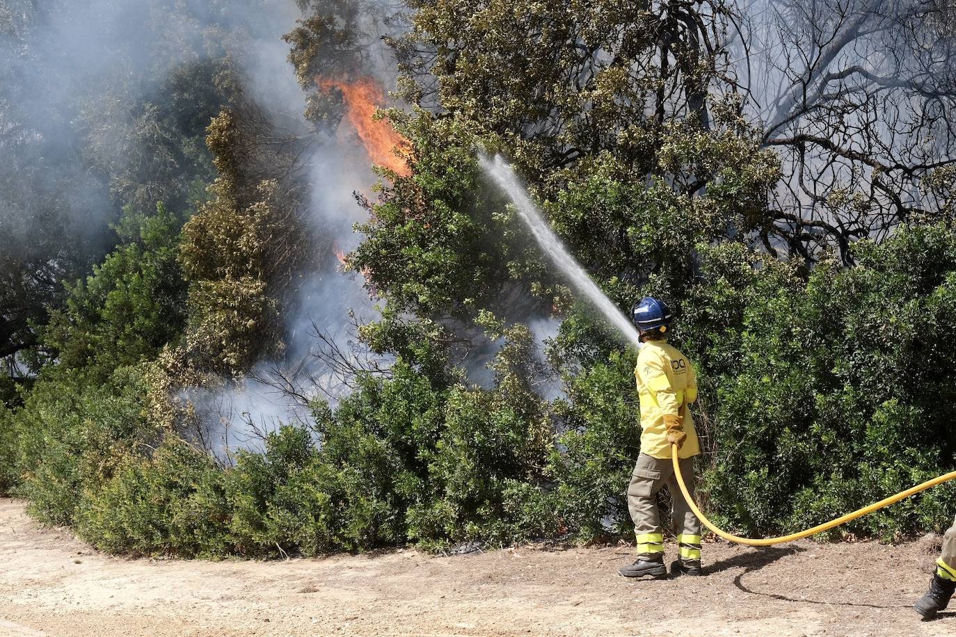 Activado el nivel 1 de alerta por un incendio forestal en Cádiz