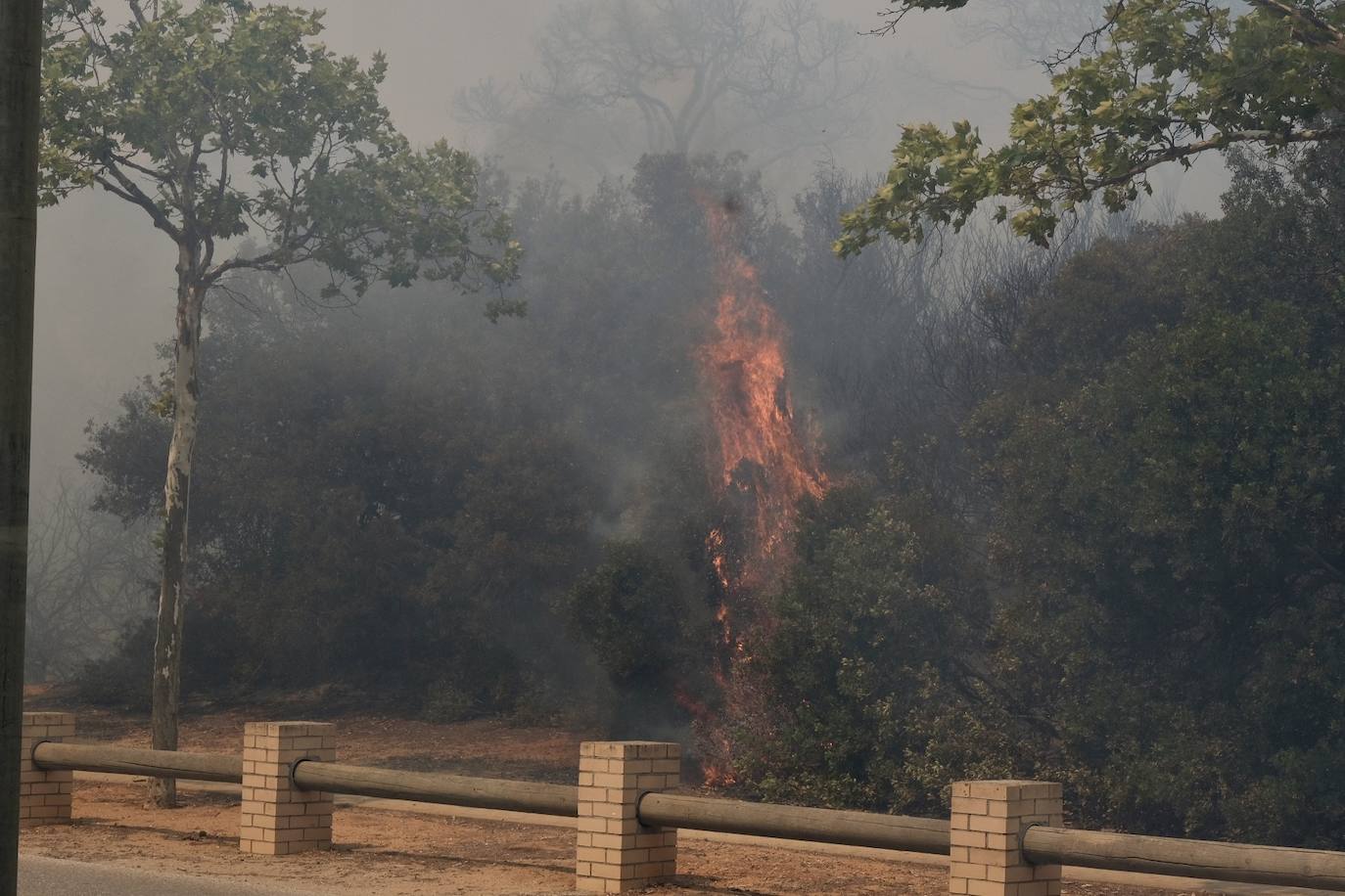 Activado el nivel 1 de alerta por un incendio forestal en Cádiz