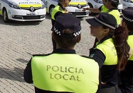 Roba el bolso a una anciana y atropella a una testigo que trató de impedir su fuga en Málaga